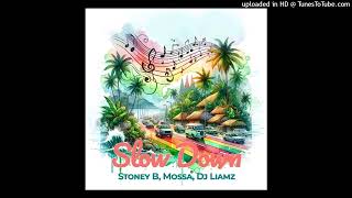 Slow Down (2024)-Stoney B ft. Mossa & Dj Liamz