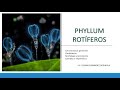 ZOOLOGÍA- Phyllum Rotíferos