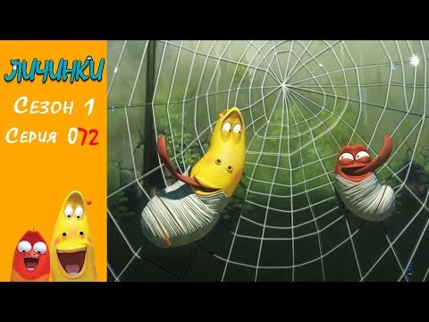 Личинки (Larva) -