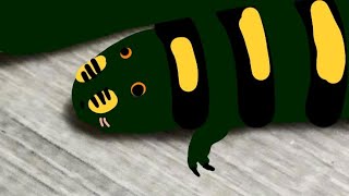 Trailer... (placeholder thumbnail)