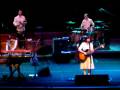 Camera Obscura - Swans (new song)