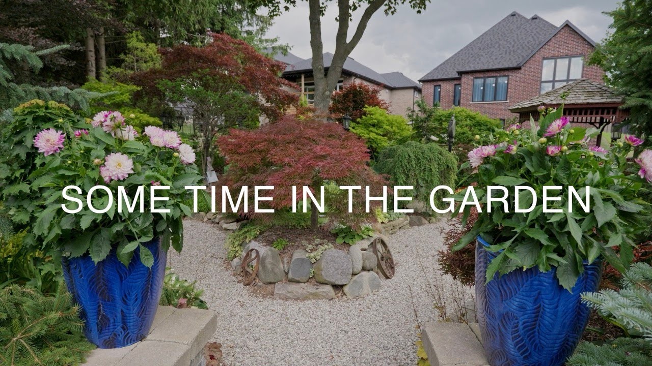 Редкие японские клёны и необычные деревья в саду коллекционера из Онтарио #садовыйтур #японскийкем