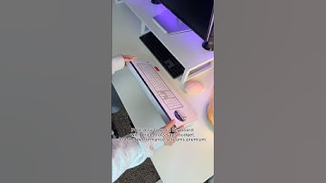 Every budget-conscious Mac user