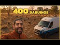 CIENTOS de BABUINOS rodearon nuestra FURGONETA en &Aacute;FRICA