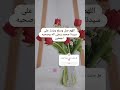 ادعية اللهم صل وسلم على نبينا محمد الله ادعيه اكسبلور Shortvideo استغفار Quranic لايك ادعية اللهم صل وسلم على نبينا محمد الله ادعيه اكسبلور Shortvideo استغفار Quranic لايك