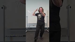 Yang Style Taiji Quan Reverse Reeling Instruction #taijiquan #yangstyle #yangtaichi #instruction