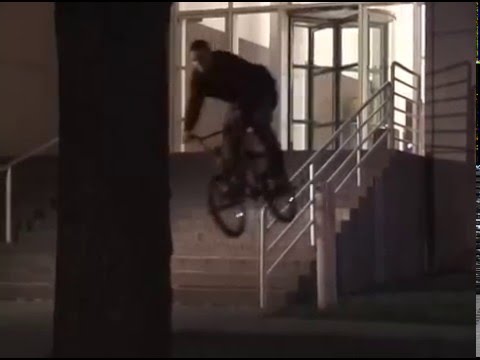 Animal Bikes: 
