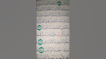ما معنى "الصافنات الجياد"#سورة #ص