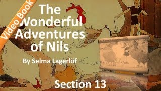 13 - The Wonderful Adventures of Nils by Selma Lagerlöf - Little Karl&#39;s Island