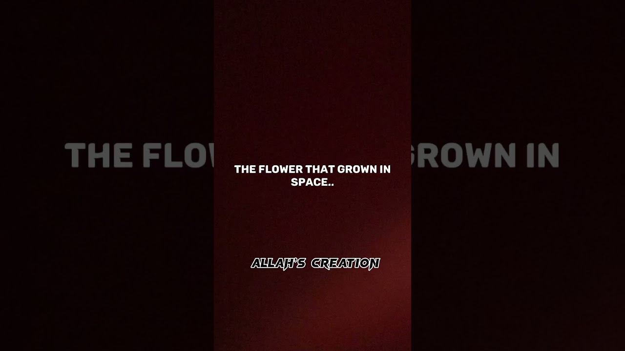 Space flower… 😮