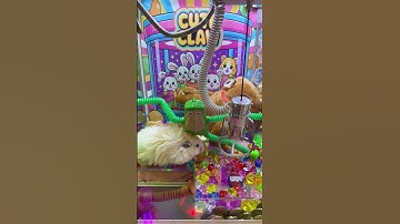 What treasure is hidden inside the claw machine?! Part 25 #arcade #clawmachine #prize