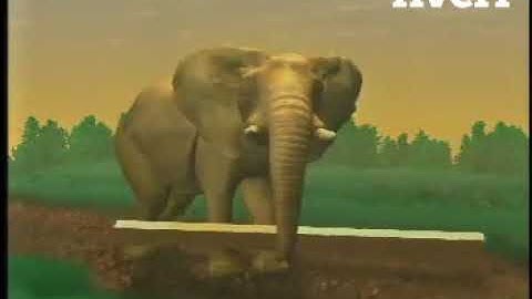 I will repair corrupted mov, mp4, dat, mdt, rsv or mxf video file data recovery - Support & IT Serv