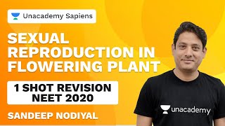 Sexual Reproduction in Flowering Plant | 1 Shot Revision | NEET 2020 | Sandeep Nodiyal