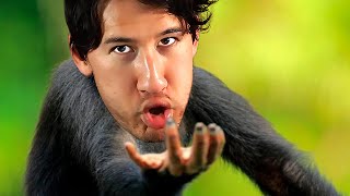 Return to MONKE Simulator screenshot 3