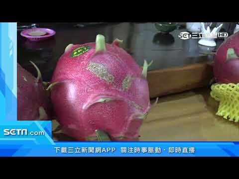 比臉大火龍果！牛奶灌溉　外銷1顆1500｜三立新聞台