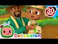 Dinoland Safari with Daddy | Let&#39;s learn with Cody! CoComelon Songs for kids