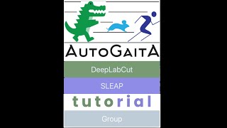 AutoGaitA DLC/SLEAP Main Tutorial - Overall Workflow & Main Configurations