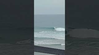 surfing is life #waveriders #shorts
