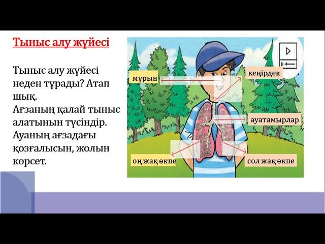 Настя Самбурская жалаңаш порно