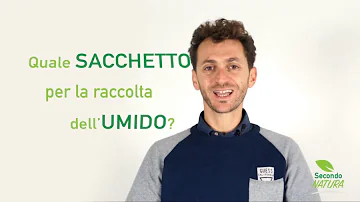 Quali sono i sacchetti biodegradabili per l'umido?