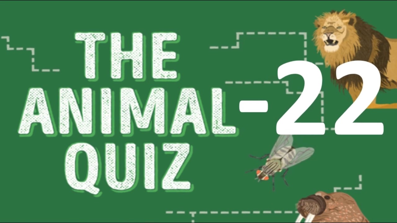 General Knowledge Quiz on Animals Part 22 YouTube