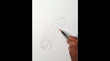 শসা অংকন / how to draw the cucamber