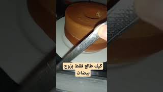 كيك رائع كيشهي يستحق التجربة وطالع فقط بزوج بيضات