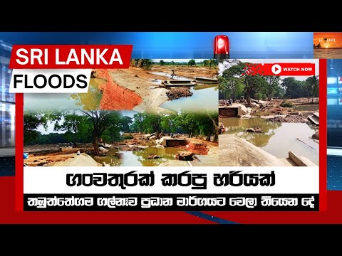 📍පාර අතුරුදහන් ද ?😲🥺මොකක්ද මේ උනේ දෙයියනේ🥺 Sri Lanka Flood Effects #viral #flood #trending #amazing