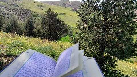 سورة الملك بصوت شجي يُخشع القلوب | تلاوة خاشعة وسط سحر الطبيعة في الربيع