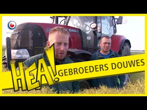 HEA!: De gebroeders Douwes