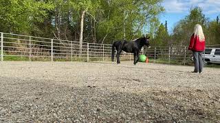 Directed retrieve - beginning