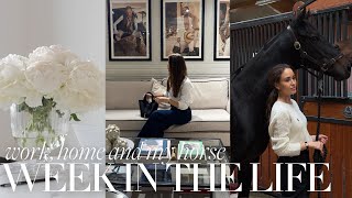 Work, home and my horse 🐴  A week in the life