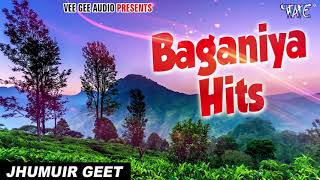 #Baganiya_Hits | #Zubeen Garg New Chaybaganiya Gaan | Best Of Baganiya | Zubeen Hero Album All Song