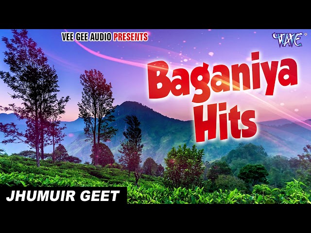 #Baganiya_Hits | #Zubeen Garg New Chaybaganiya Gaan | Best Of Baganiya | Zubeen Hero Album All Song class=