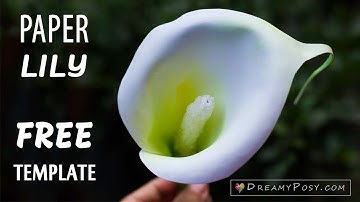 [FREE template] How to make paper Calla Lily flower, so easy and realistic