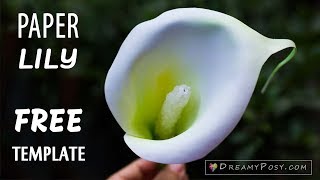 [FREE template] How to make paper Calla Lily flower, so easy and realistic screenshot 5