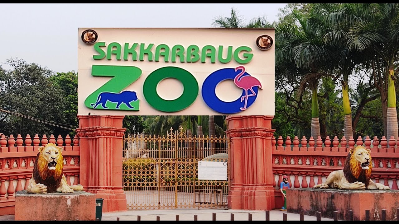 l Sakkarbaug zoo l Junagadh trip l YouTube