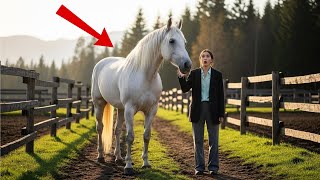 No One Wanted the “Useless” Draft Horse — Until His Secret Changed Everything
