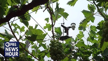 Can AI help solve India’s food and water insecurity?