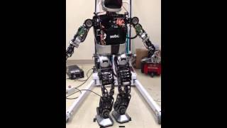 Hubo Motion Correction Module Test -- Init orientation
