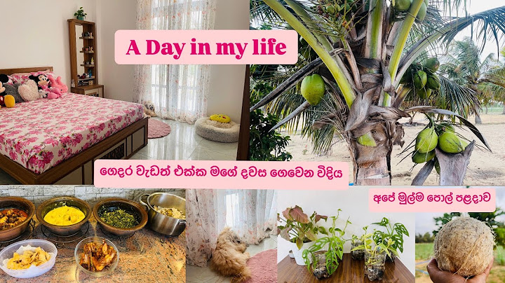 ගෙදර වැඩත් එක්ක මගේ දවස ගෙවෙන විදිය🏡🐶❤️a day in my life