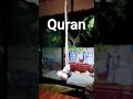islamic video #Allah #short #tranding #viral