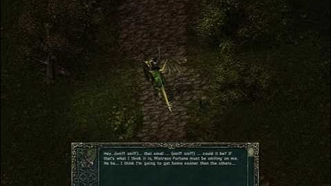 Divine Divinity - Meet John