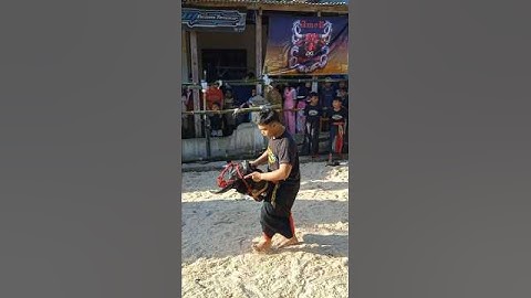 TUNAS MUDA recorded by Java Cultural | #art #seni #bantengan