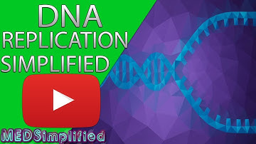 DNA-replicatie deel 2