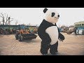 Погрузчики "KINO" (Clip 2_ Panda) Video-Dubrovsky