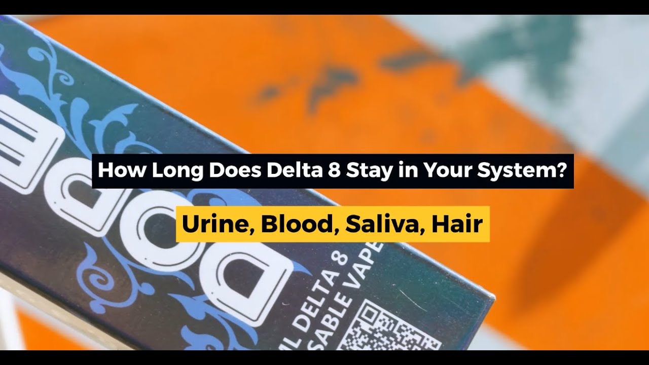 How Long Does Delta 8 Stay In Your System? Urine, Blood, Saliva, Hair