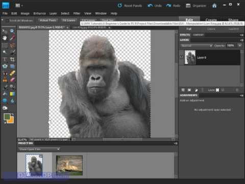 Copy, Paste & Move in Photoshop Elements 9 - YouTube