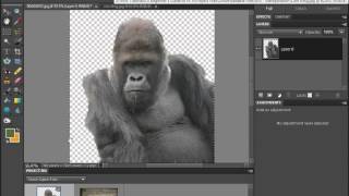 Celebrity Copy, Paste & Move in Photoshop Elements 9 Profile