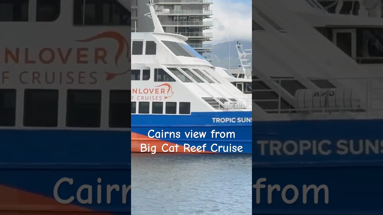 #Cairns #bgcatreefcruise #thingstodoincairns #nature #greatbarrierreef #greenisland #cruising